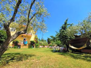 Gallery image of Zako Apartments in Limenaria +46 photos