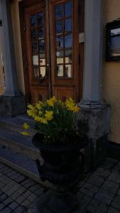 a flower pot with yellow flowers in front of a door at Hedemora Stadshotell in Hedemora
