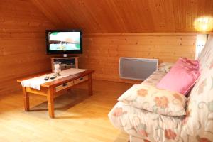 TV a/nebo společenská místnost v ubytování Chalet Des Rochires