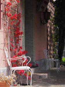 Fotografie z fotogalerie ubytování Franziska's Place v destinaci Cannero Riviera