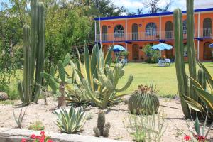 a group of cactuses in front of a building at Hotel SPA Villa San Agustin in Tecozautla