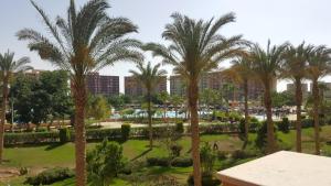 Blick auf einen Park mit Palmen in der Unterkunft بورتو جولف مارينا جلوبال- للعائلات فقط in El-Alamein