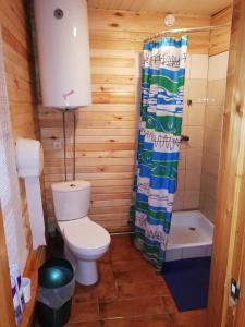 a bathroom with a toilet and a shower curtain at Kempings Mežmalas in Usma