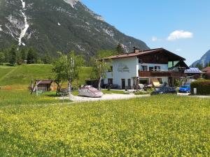 ein Haus auf einem Feld gelber Blumen vor einem Berg in der Unterkunft Haus am Wiesenrain in Leutasch