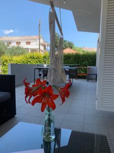 a vase with a red flower on a table at Apartments Ana & Ita in Novalja