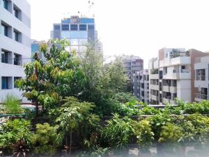 un jardín en el centro de una ciudad con edificios en Eastern House - Peaceful Living at Diplomatic Zone, en Dhaka