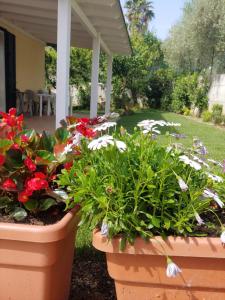 A garden outside Villa Lucia B&B