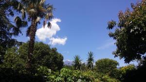 Foto dalla galleria di ETNA MARE Jonio a Giarre