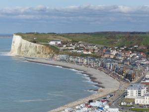 an aerial view of a beach next to the ocean at Appartement Le Tréport Centre in Le Tréport