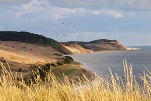 a group of kites flying in the sky over a beach at Villa du Pyla in Pyla-sur-Mer