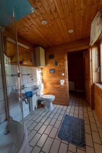a bathroom with a toilet and a sink at Haflingerhof Heed in Kuhstorf