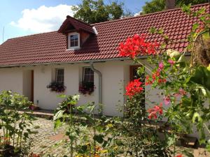 Zahrada ubytování Apartmány Jílovice