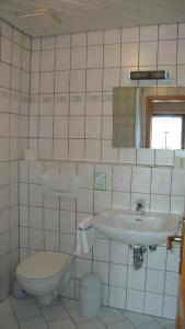 a bathroom with a toilet and a sink at Mettenberger Hof - Pension in Grafenhausen +21 photos