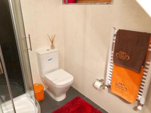 a small bathroom with a toilet and a shower at Chambre de la tour - Quinta da Prelada Simão in Celorico de Basto +56 photos
