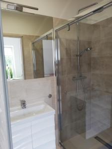 een badkamer met een douche en een wastafel bij Dom z sauną na wyłączność in Drawno