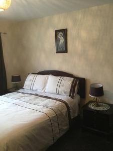 德拉姆納德羅希特的住宿－Bunillidh，一间卧室配有一张带两张台灯的床铺。