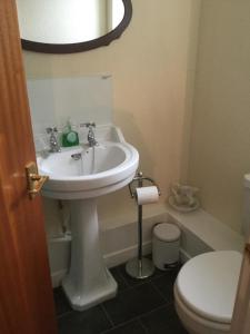 德拉姆納德羅希特的住宿－Bunillidh，浴室配有白色水槽和卫生间。
