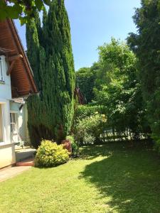 Vonkajšia záhrada v ubytovaní Balaton Apartman