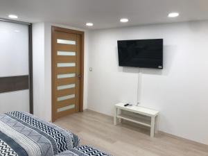 Televízia a/alebo spoločenská miestnosť v ubytovaní Blaha Art Apartment