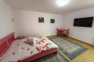 Fotografie z fotogalerie ubytování Pensiunea SARRA v destinaci Eşelniţa