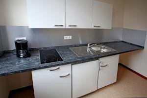 a kitchen with a sink and a counter top at Appartementanlage Vierjahreszeiten in Braunlage