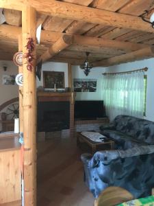 ein Wohnzimmer mit einem Sofa und einem Kamin in der Unterkunft Van egy ház a Tisza parton in Tiszaderzs
