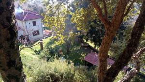 Zahrada ubytování Chalet Reventino