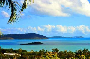 a large body of water with palm trees at Yachtsmans Paradise, Whitsundays in Airlie Beach