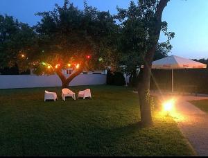 two chairs and an umbrella in a yard at night at Hotel Orange Przeźmierowo in Przeźmierowo