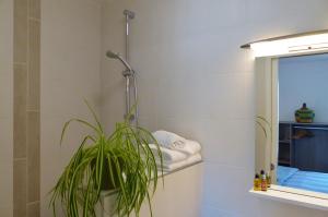 a bathroom with a shower and a plant at Résidence des 14 Moulins in Pont-Aven +26 photos