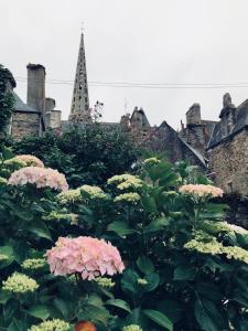 Aed väljaspool majutusasutust B&B du Cloître