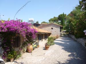 une maison avec des fleurs violettes sur le côté d'une route dans l'établissement Casa Romantica, à Capoliveri