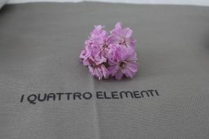Foto dalla galleria di I Quattro Elementi a Marina di Mancaversa