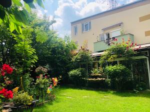 a garden in front of a house with flowers at Pensiunea Sofia in Timişoara