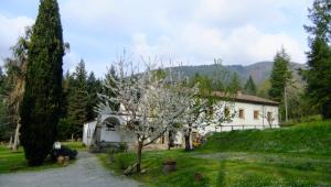 a house with a tree in front of it at Convento del Carmine 4 in Fivizzano