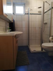 ein Bad mit einer Dusche, einem Waschbecken und einem WC in der Unterkunft Ferienwohnung Weingut Brutscher in Roschbach