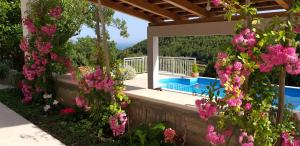 a garden with pink flowers and a swimming pool at Mediterranean stone house in Babino Polje +41 photos
