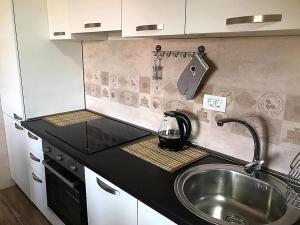 Dapur atau dapur kecil di Eko Apartmani Krackovic