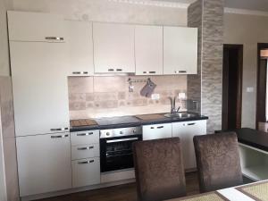 Dapur atau dapur kecil di Eko Apartmani Krackovic