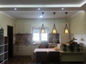 Dapur atau dapur kecil di Eko Apartmani Krackovic