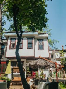 a building with a tree in front of it at The Ninova in Antalya