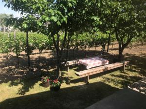 Taman di luar Eko Apartmani Krackovic