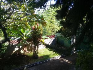 Foto de la galería de Le Frangipanier Villa avec piscine en Saint-Denis