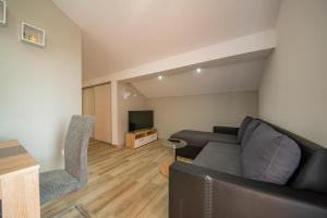 a living room with a couch and a television at Apartman Eva in Vrsi