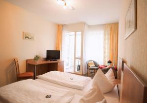 TV a/nebo společenská místnost v ubytování Hotel-Pension Am Böhmepark
