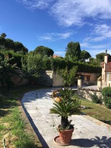 a garden with a potted plant on a walkway at Casa Solemar in Imperia