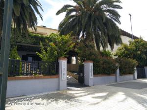 a fence with a palm tree in front of a building at ADEREZO Hostal Restaurante in La Zarza