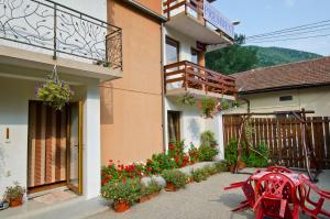 Gallery image of Pension President in Băile Herculane