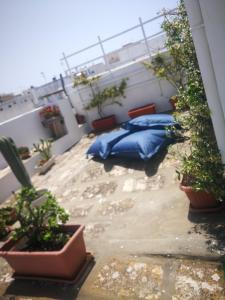 ガリポリにあるB&B CURALLUのバルコニー(青い枕、鉢植えの植物付)