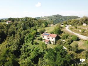 Táj Show holiday homes közelében